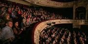 Guests enjoying performances