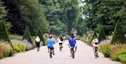Summer Cycle, Group