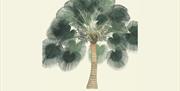 Livistona chinensis (Chinese fan palm), attributed to Vishnuprasad, c. 1825