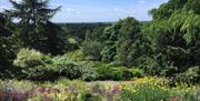 Landscape photo of Terrace Gardens