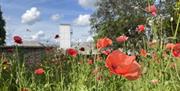 Book your visit to The Poppy Factory, the Home of Remembrance, and discover our rich history and the important work we do today!