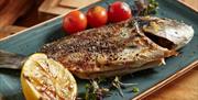 food 2
