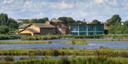 WWT Barnes Wetland Centre