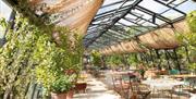 Interior of Petersham Nurseries