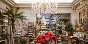 Interior shot of Petersham Nurseries