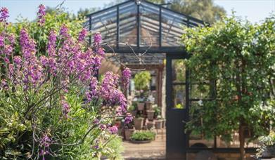 Outside shot of Petersham Nurseries