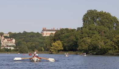 Crews rowing along the river Thames, with Richmond in the background