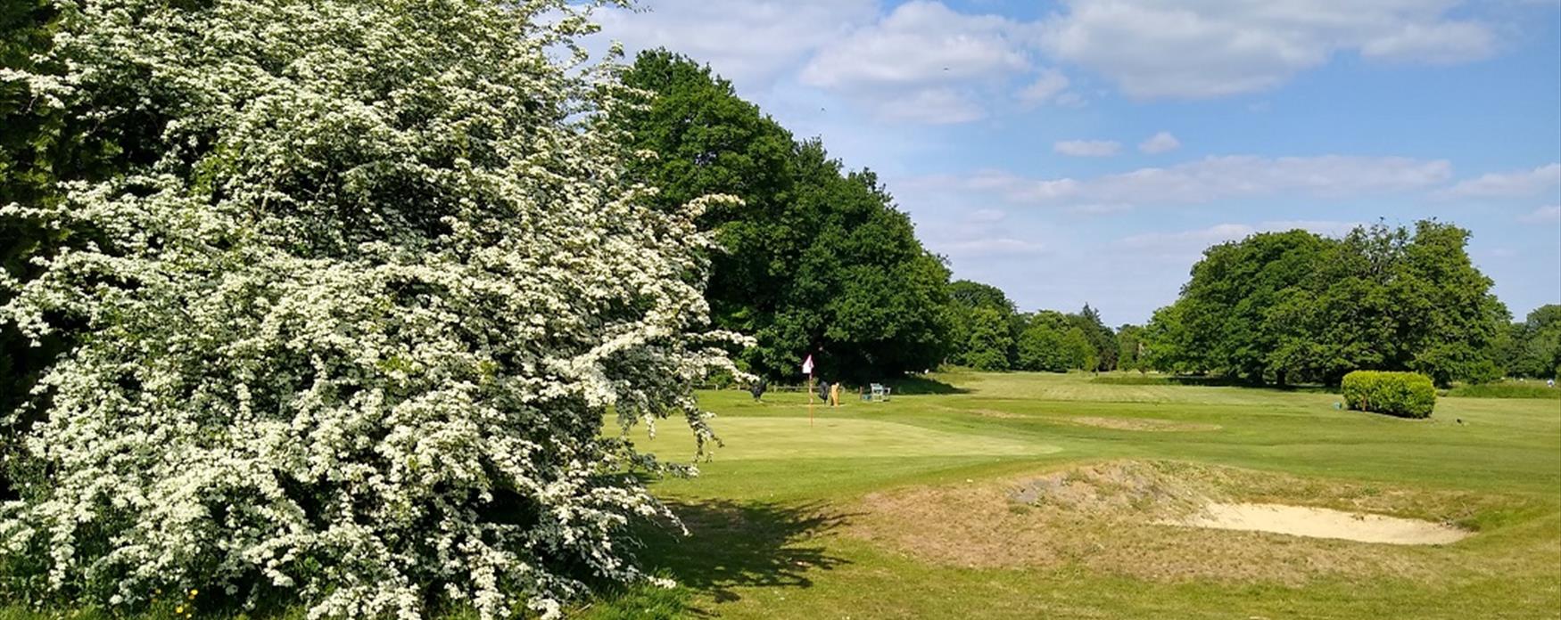 Picture of golf club in Richmond upon Thames