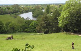 The Thames from Richmond Hill