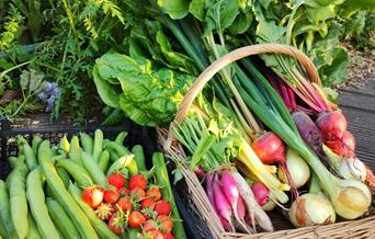 Produce grown and harvested for the local food bank