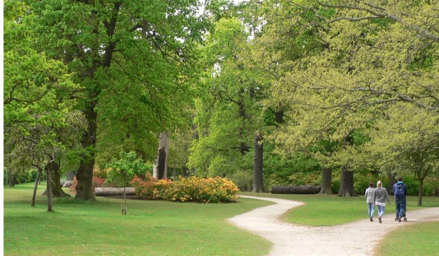 Bushy Park Walk