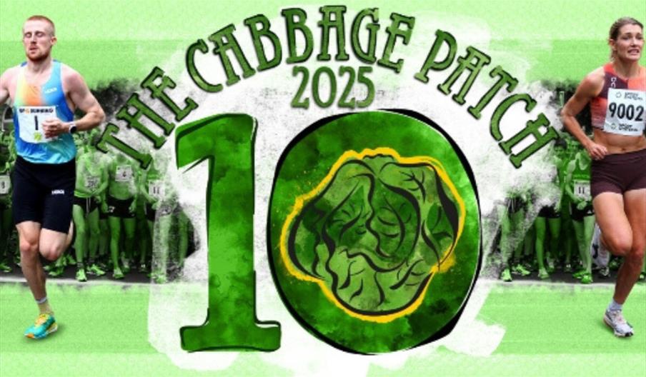 Cabbage Patch10 Cabbage Patch10