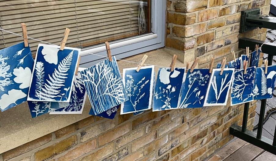 Cyanotype Printmaking Workshop image credit WWT Cyanotype Printmaking Workshop image credit WWT