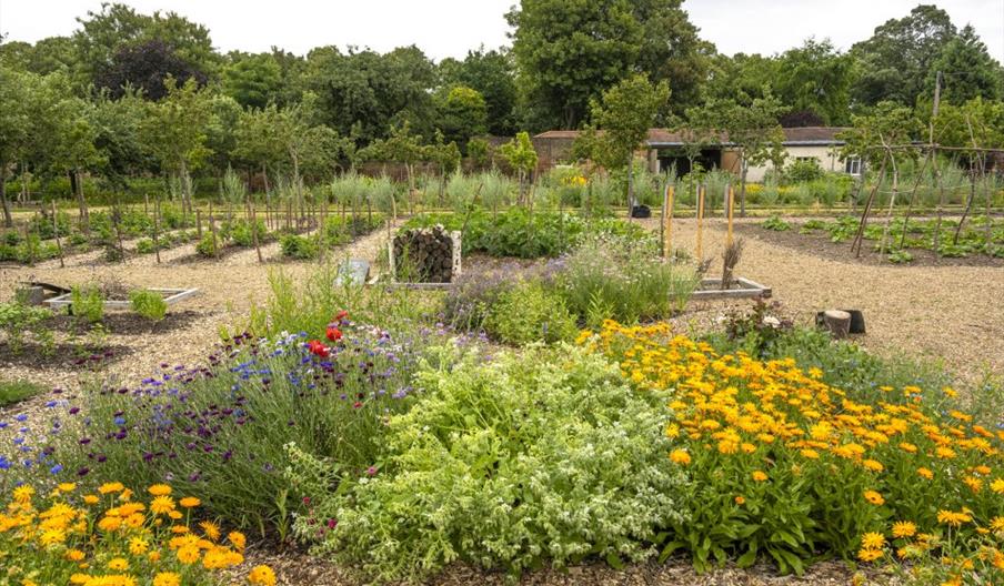 Kitchen Garden Kitchen Garden
