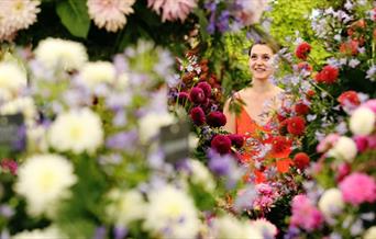 Hampton Court Flower show event pictures