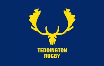 Teddington RFC logo