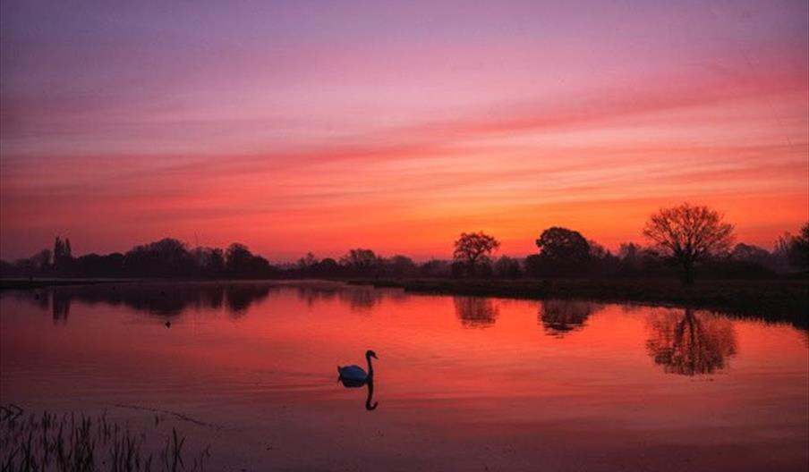 Home Park - Amazing shot