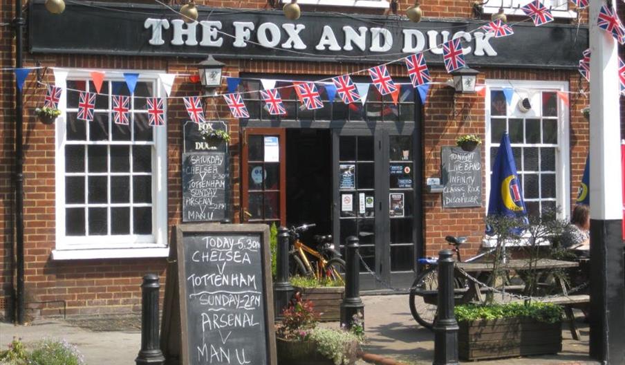 The Fox and Duck