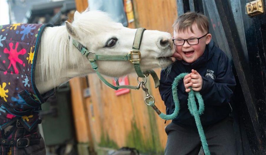 A horse kissing a child
