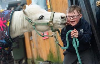 A horse kissing a child