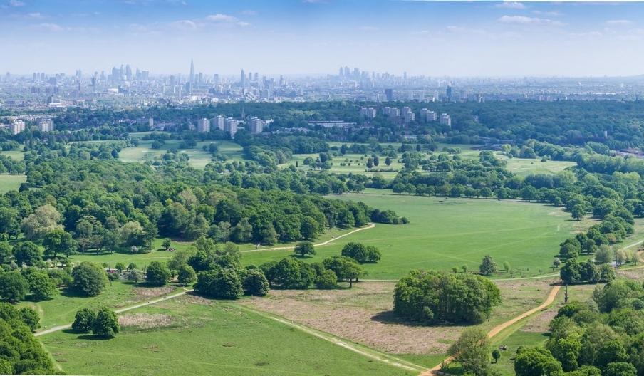 Aerial shot of Richmond Park