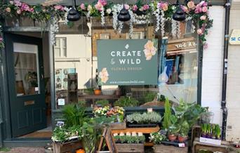 shop front create and wild