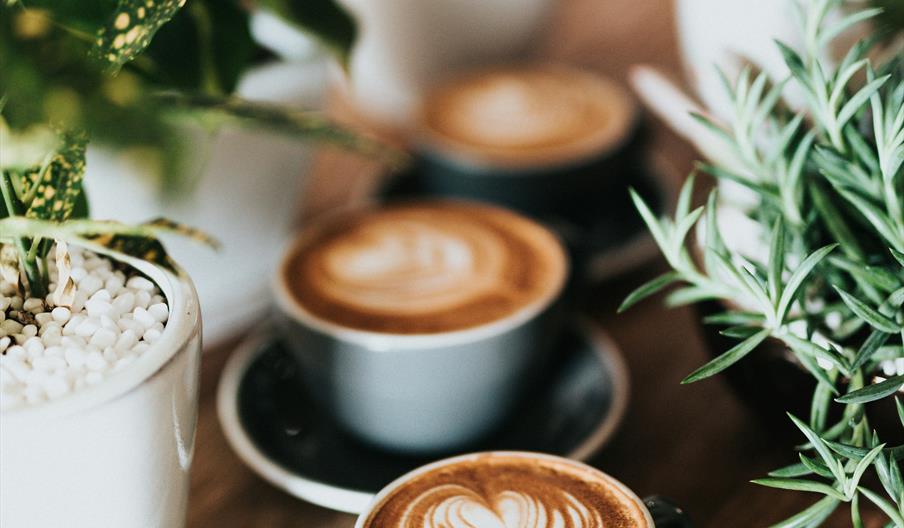 nathan-dumlao-zUNs99PGDg0-unsplash