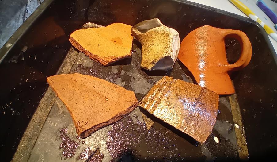 Archaeology fun, eco-explorers and other summer activities at Oak House Museum
