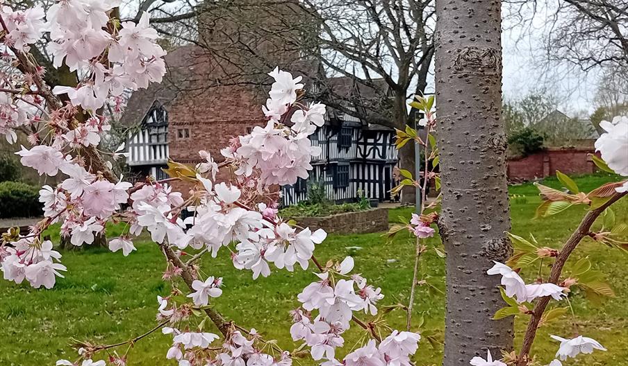Guided Tour of Oak House