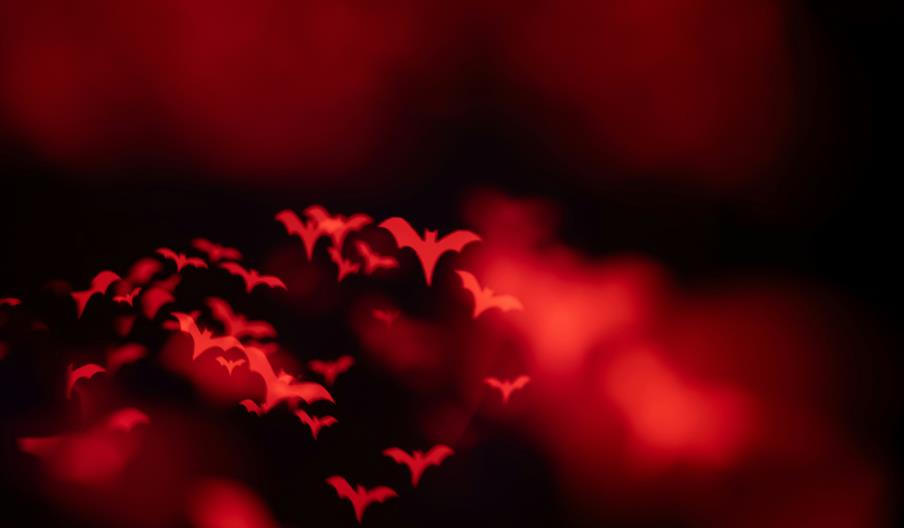 andrey-soldatov-hALHsNFgtqY-unsplash