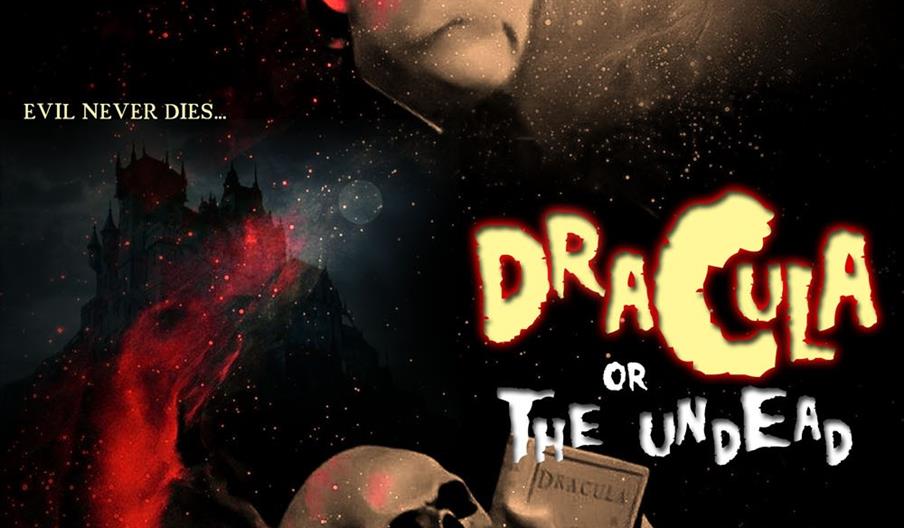 DRACULA- Don't go into the Cellar