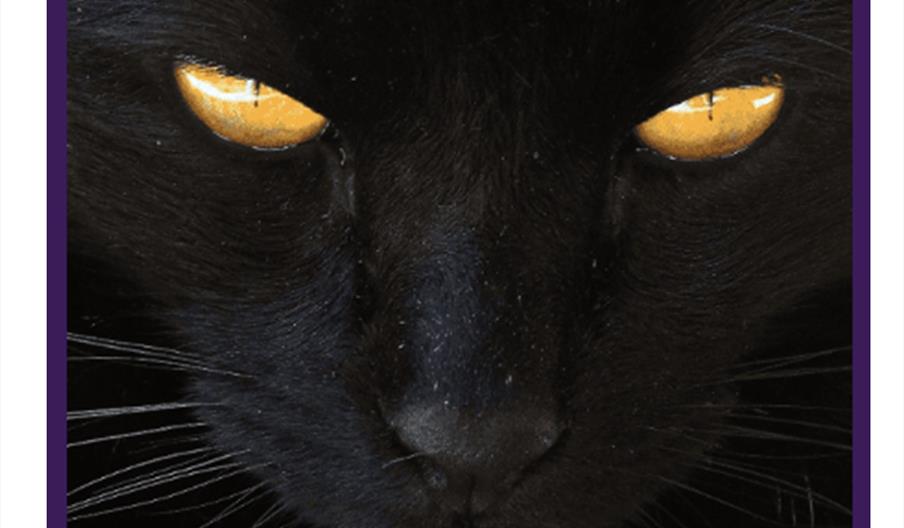 Superstitions: Old Fears, Everyday Rituals