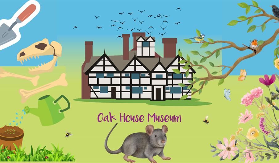 Archaeology fun, eco-explorers and other summer activities at Oak House Museum
