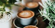 nathan-dumlao-zUNs99PGDg0-unsplash