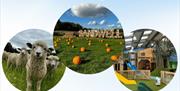 SEND Early Access_ Pumpkin Picking & Forge Mill Farm Visit