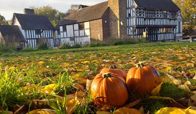 Autumnal antics and spooky fun for all ages at Bromwich Hall