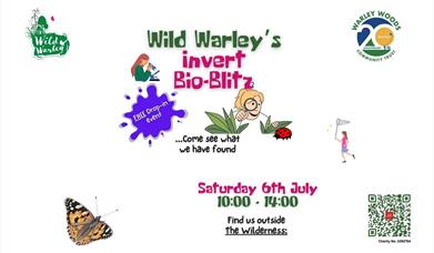 Wild Warley Invert Bio-Blitz