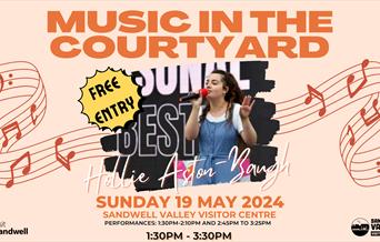 Music in the Courtyard 2024