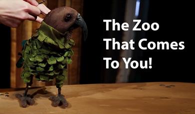 The Zoo That Comes To You