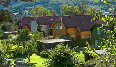 Houses in Grønnbyen in Notodden