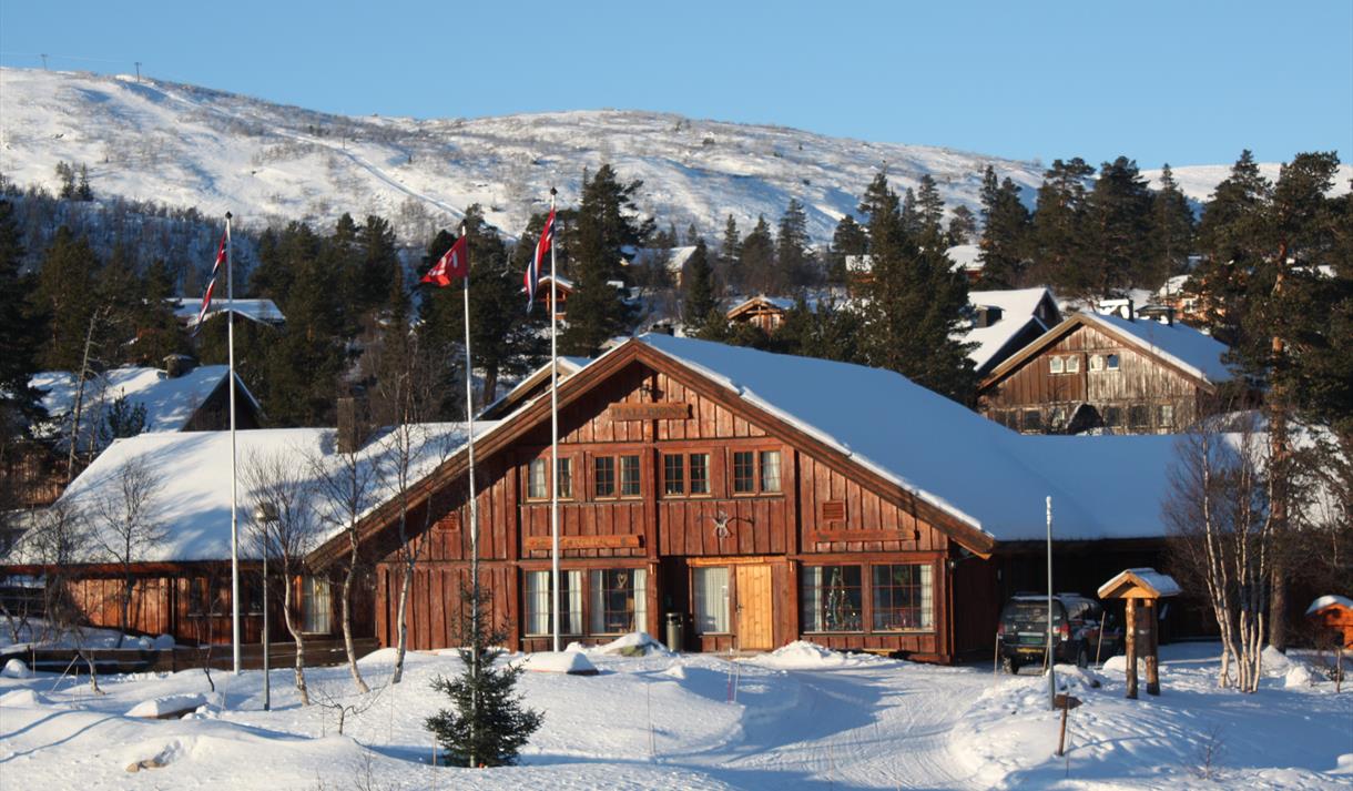 Hallbjønn Høyfjellsenter
