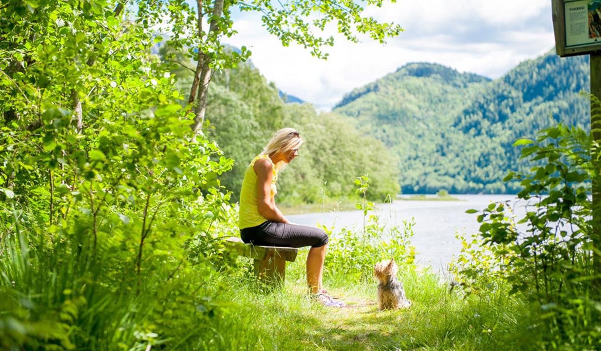 Lady sitting on a bench with a small dog in front of her