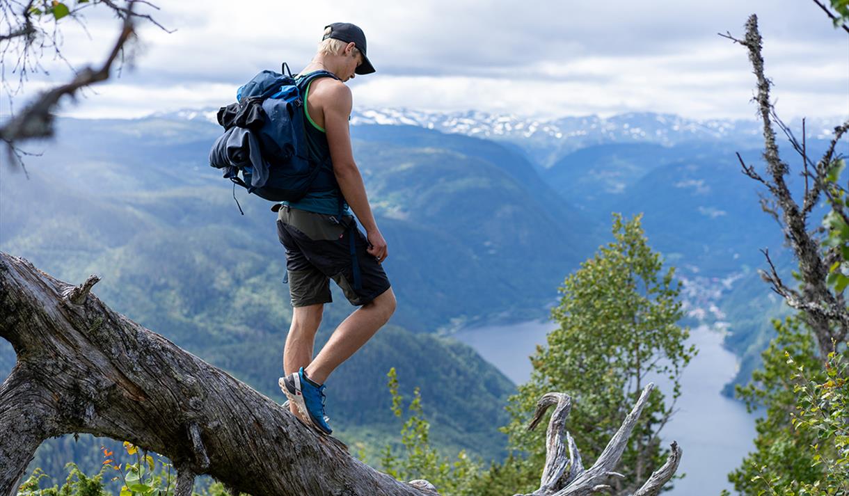 Utsikt fra Lårdalstigen på Dalen