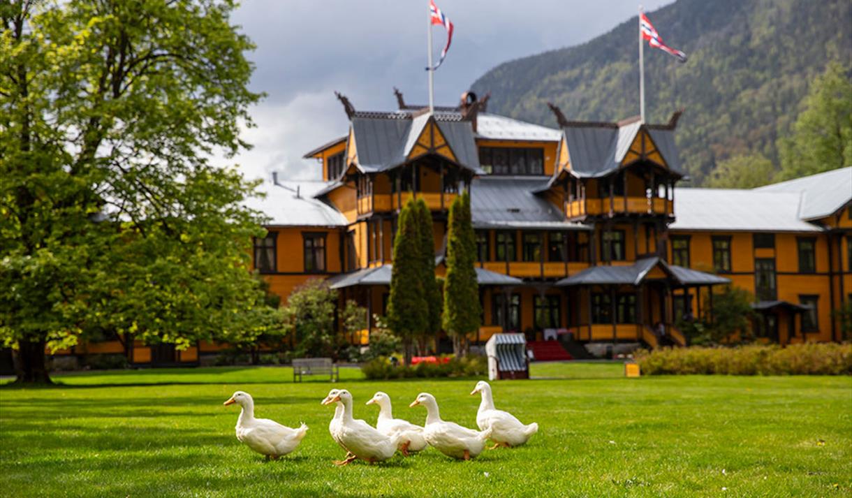 the ducks in the garden at Dalen Hotel