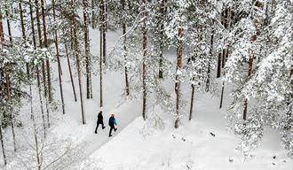 Hiking in winter