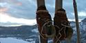 Old skis with carving and heelbindings from a birch