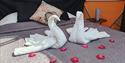 towel swans on the bed at Arctic dome glamping tent at Norsjø Ferieland