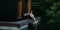 A lady is sitting outside the sauna of Skogens rom