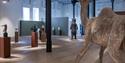 exhibition by Petter Hepsø at Telemark Art Museum
