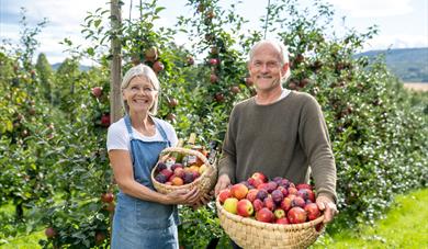 Elderly couple standing in front of fruit trees with fruit basket in hands